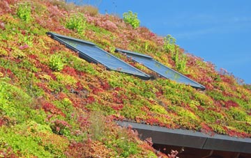 Egmere living roof systems